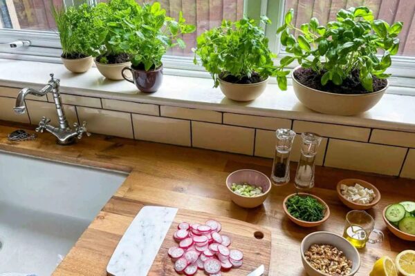 Herbs for your kitchen