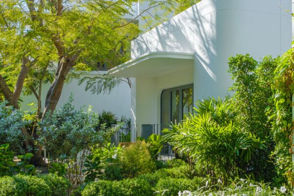 Planting trees for shade