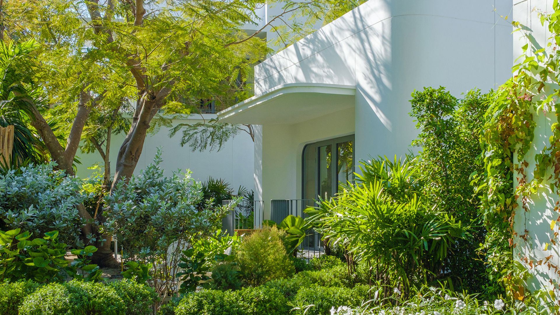 Planting trees for shade