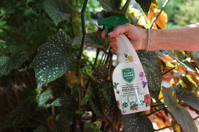 Protecting seedlings from pests