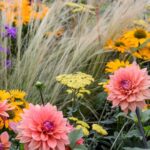 Seasonal flowers for outdoor spaces.