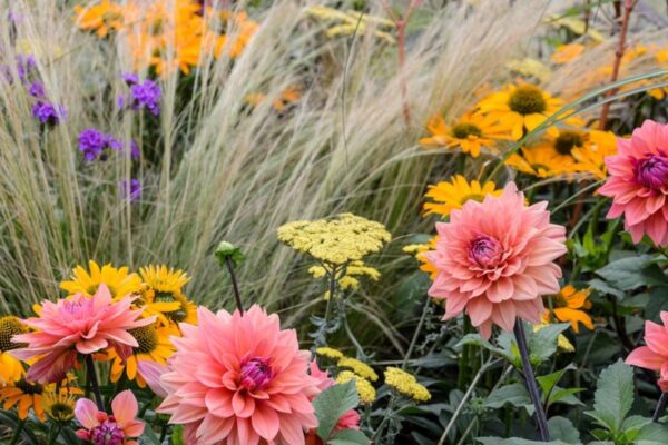 Seasonal flowers for outdoor spaces.