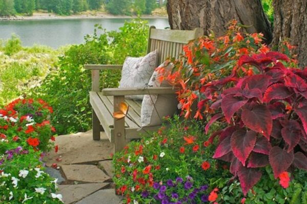 Shaded Areas Need Outdoor Plants Shaded Areas Need Outdoor Plants.