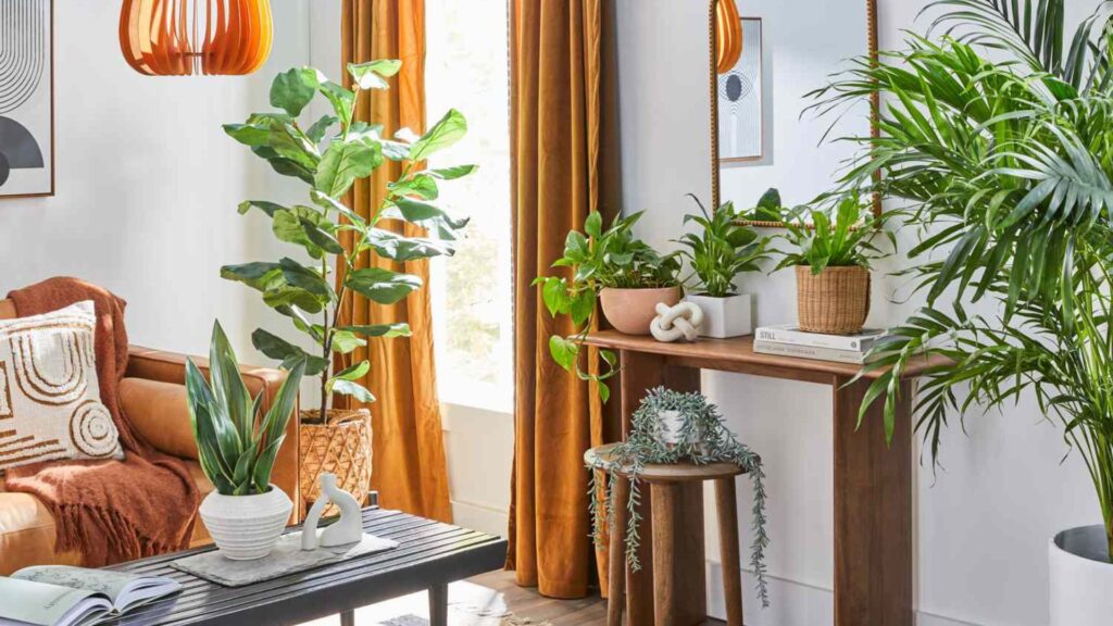 Small-space plant arrangements