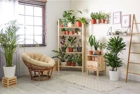 Small-space plant arrangements