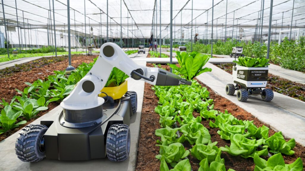 Smart Agriculture Benefits From Green Farming.