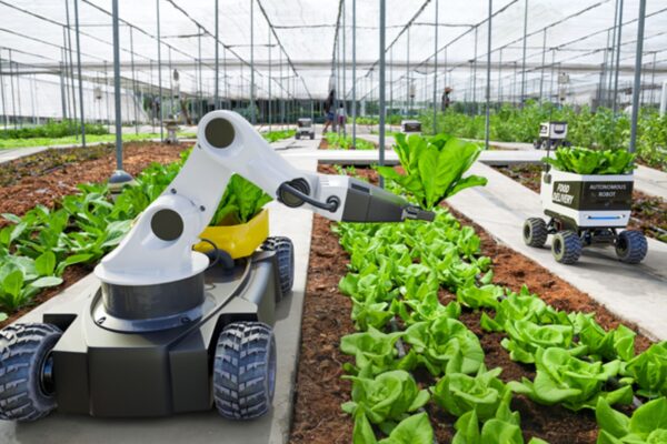 Smart Agriculture Benefits From Green Farming.