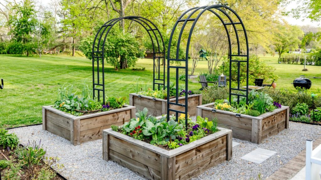 Starting A Backyard Plant Nursery.