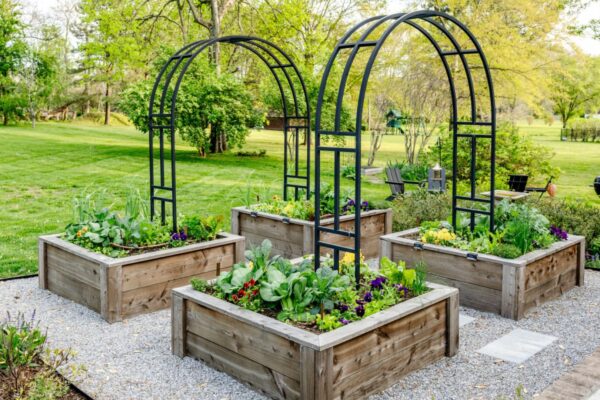 Starting A Backyard Plant Nursery.