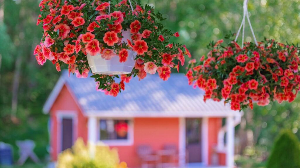 Styling Your Indoor and Outdoor Space with Hanging Plants