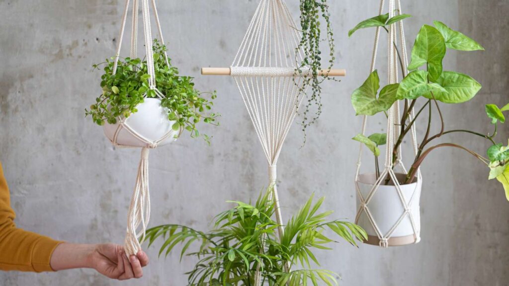 Styling Your Indoor and Outdoor Space with Hanging Plants