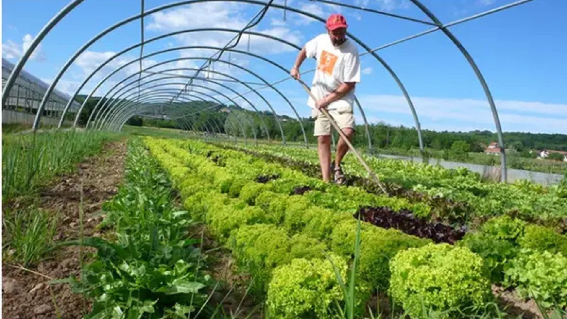 Sustainable Methods For Green Farming