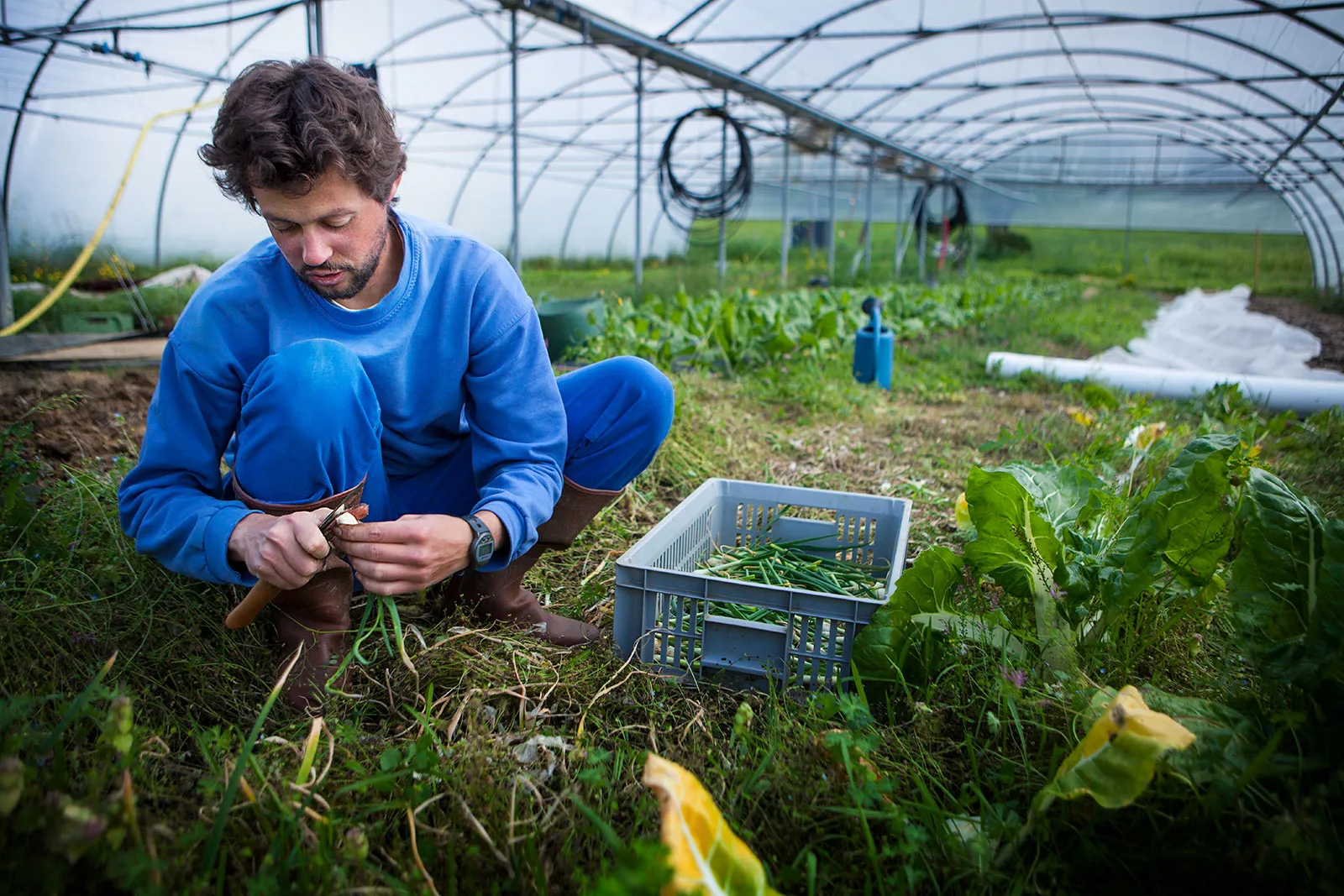 Sustainable practices for greener farms