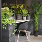 The Best Decorative Planters for Modern Homes (1)