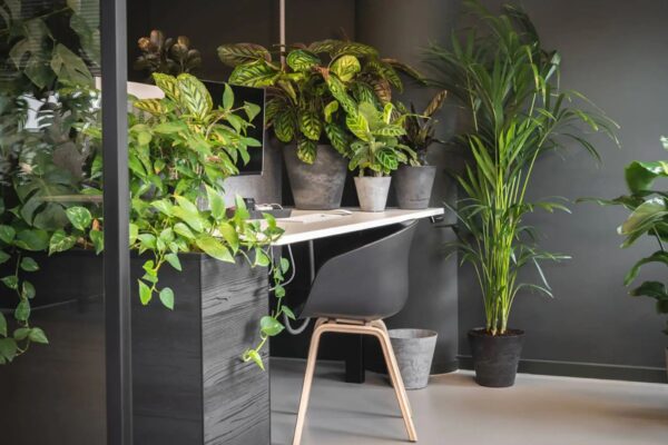 The Best Decorative Planters for Modern Homes (1)