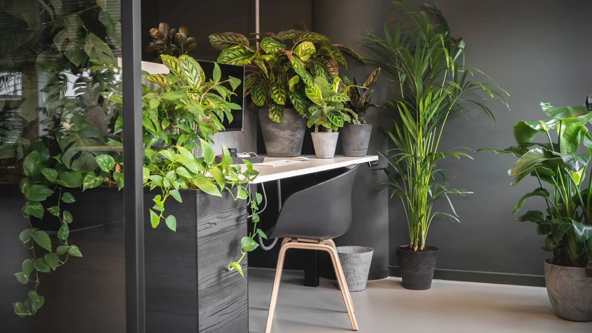 The Best Decorative Planters for Modern Homes (1)