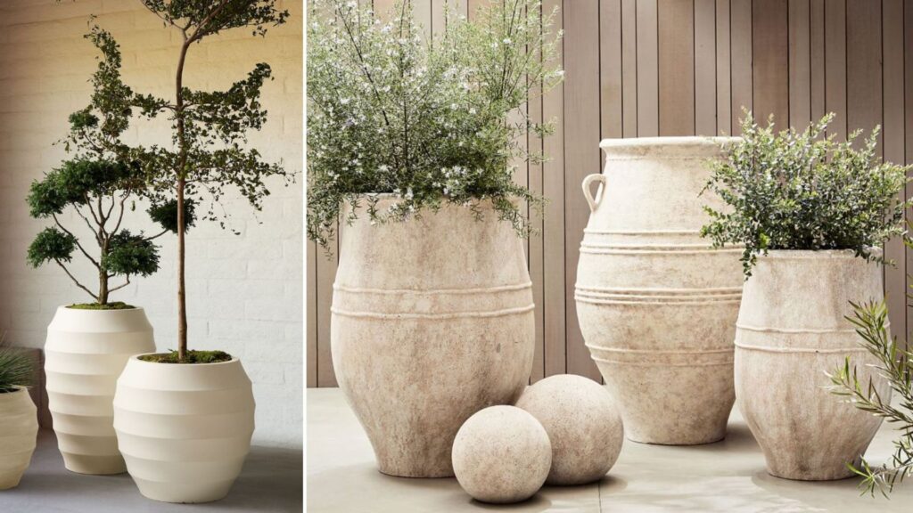 The Best Decorative Planters for Modern Homes