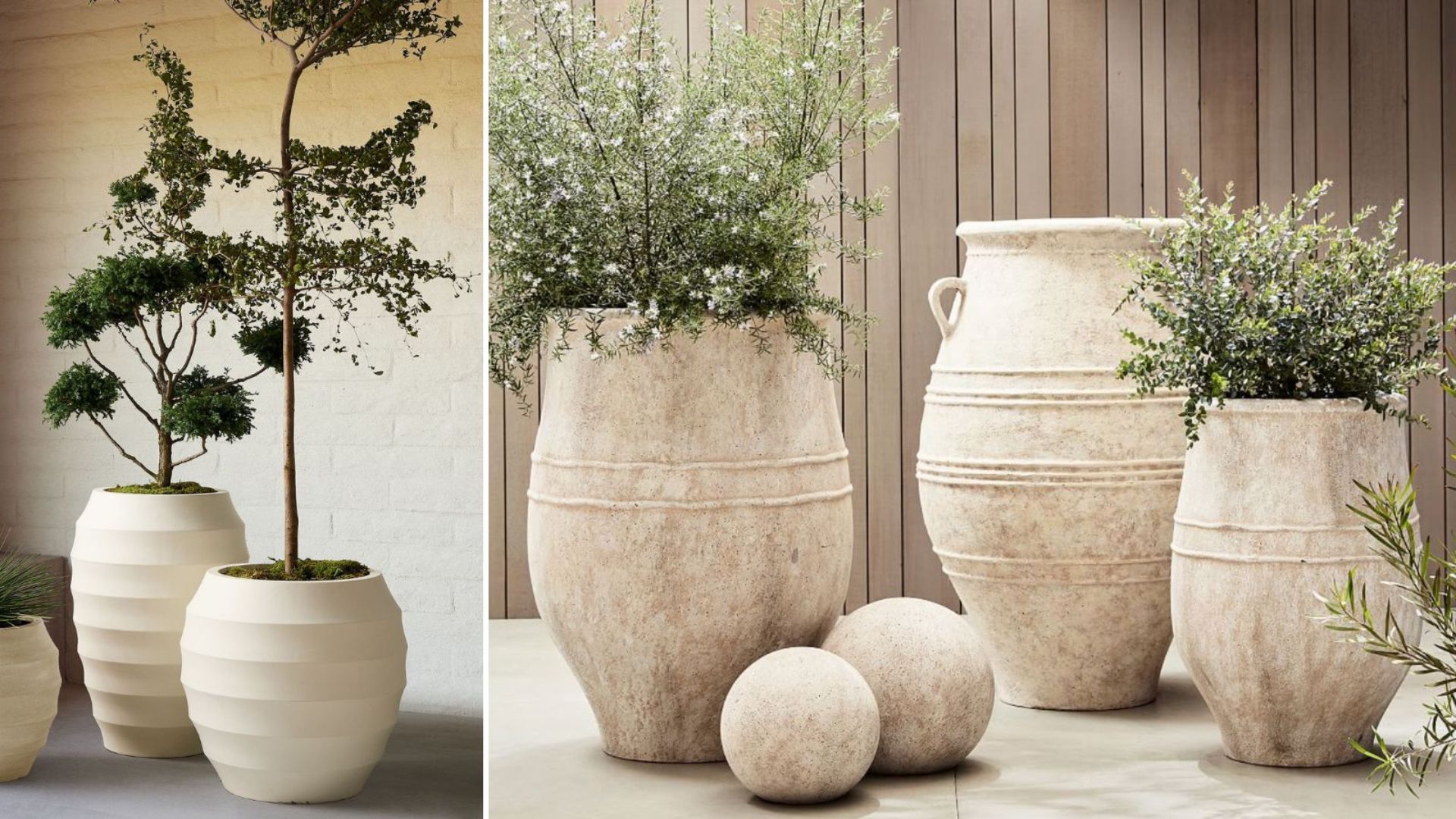 The Best Decorative Planters For Modern Homes The Best Decorative Planters For Modern Homes