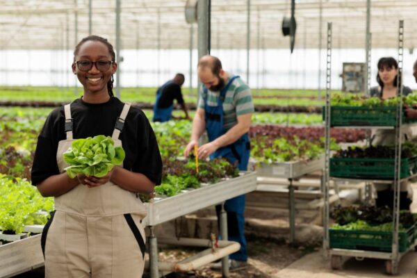 Top 10 Sustainable Farming Practices That Work