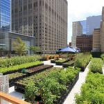 Urban Areas Benefit From Green Farming