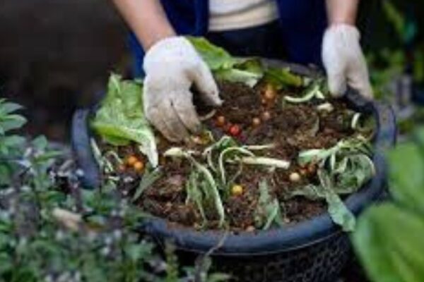 Using compost for nutrient-rich soil