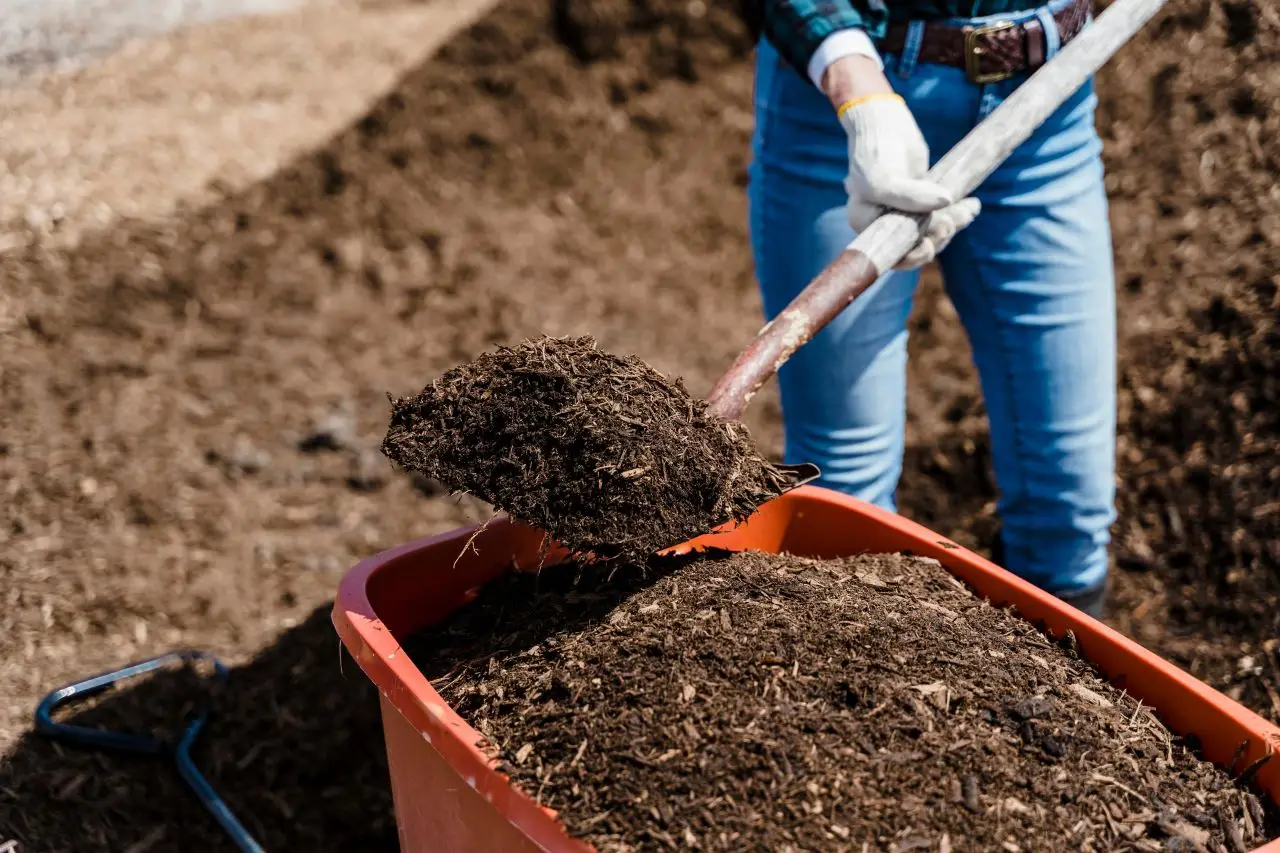 Using compost for nutrient-rich soil