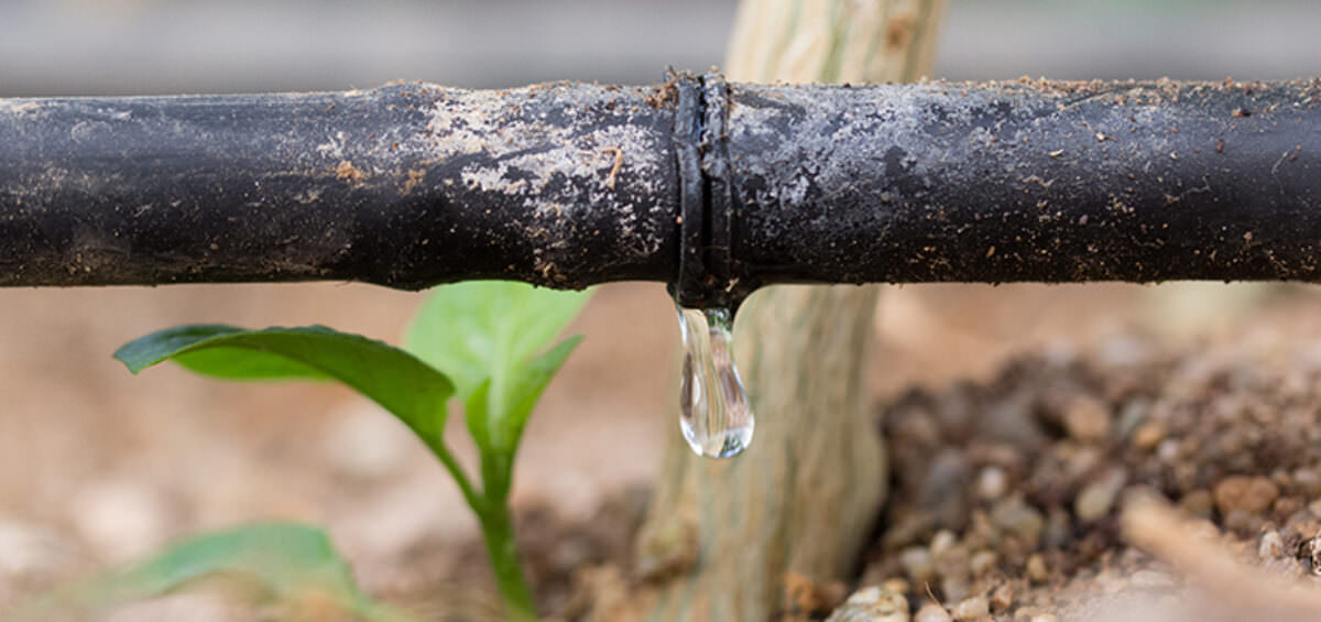 Water-saving irrigation tips