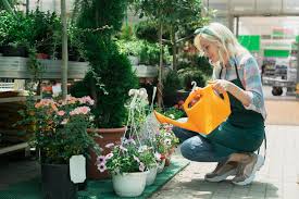 Watering schedules for young plants