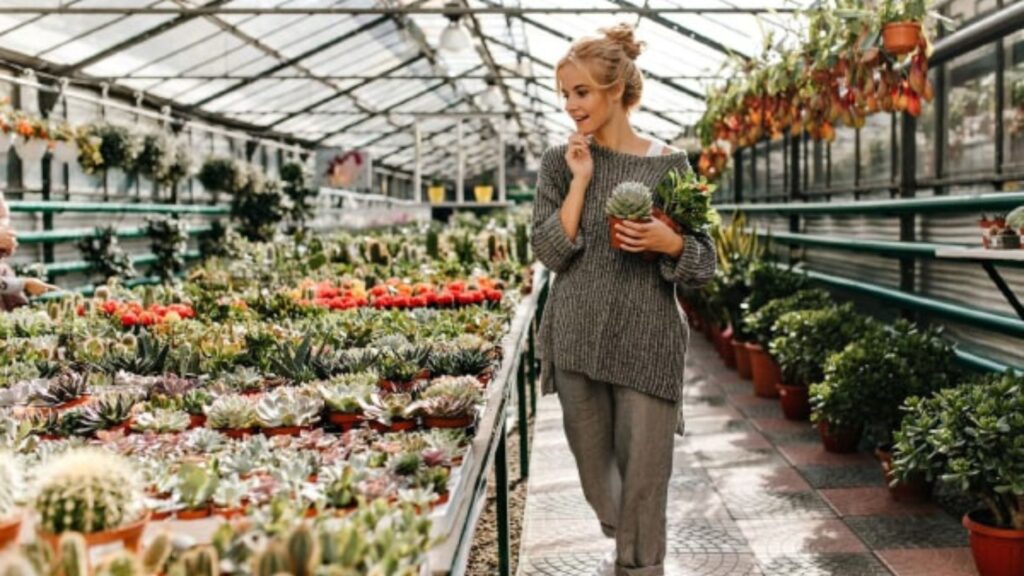 What to Look for When Buying Plants from a Nursery