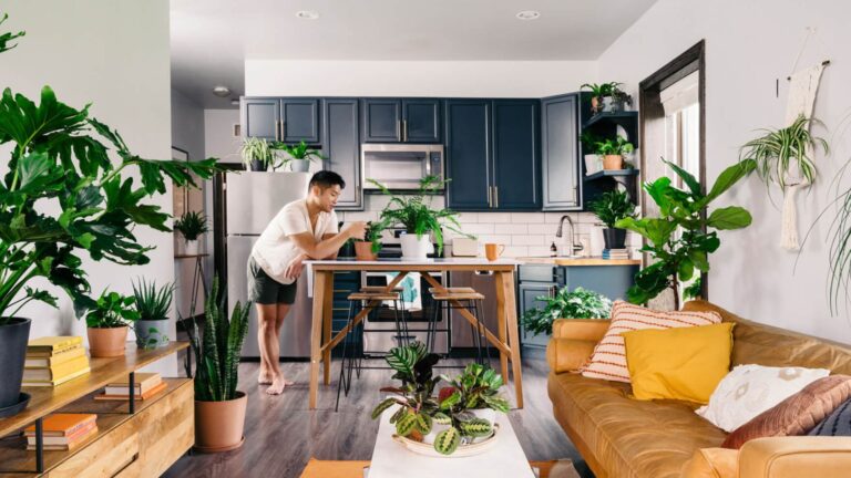 Apartments Improved With Indoor Plants Arrangement.