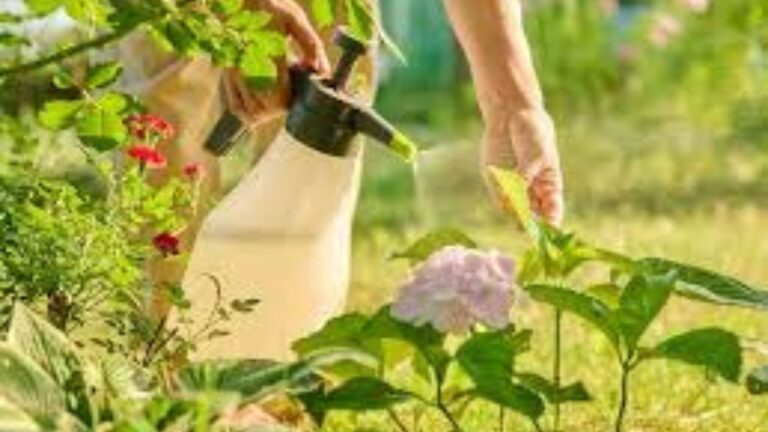 Eco-friendly pest control methods.