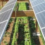 Green energy solutions for farms