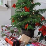 Holiday-Themed Plant Decorations for Every Season