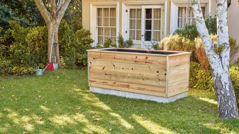 How to Build a Raised Bed for Outdoor Gardening