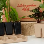 How to Package Plants for Delivery Without Damage