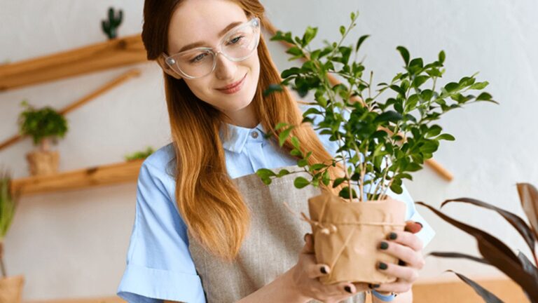 How to Start a Profitable Plant Nursery at Home (1)