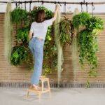 SEO Details: Keyword: Indoor hanging plant ideas Meta Title: Indoor Hanging Plant Ideas | Stylish, Space-Saving Greenery Meta Description: Discover beautiful indoor hanging plant ideas to transform your space. From low-maintenance picks to creative display tips, elevate your home with greenery.