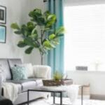 Modern decor on a budget.