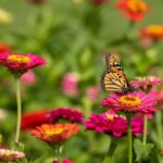 Outdoor Plants That Attract Pollinators (and Why You Need Them) (1)