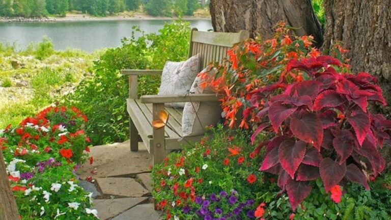 Shaded Areas Need Outdoor Plants.