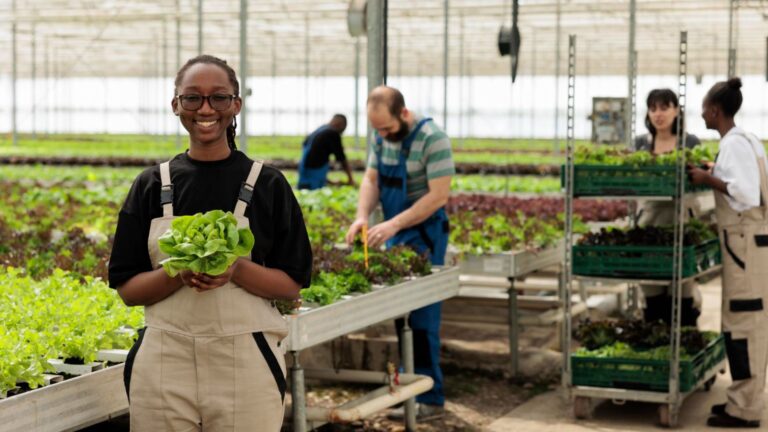 Top 10 Sustainable Farming Practices That Work