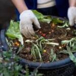 Using compost for nutrient-rich soil