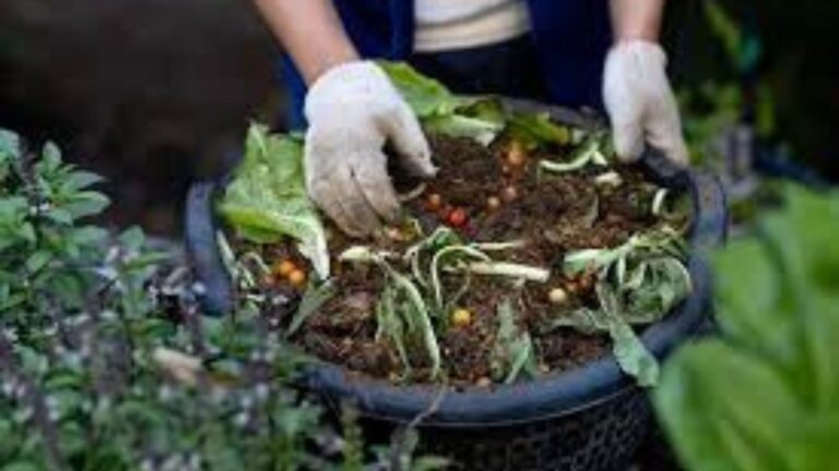 Using compost for nutrient-rich soil